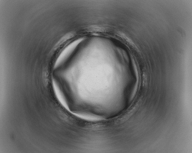 X0000114491213200911091041