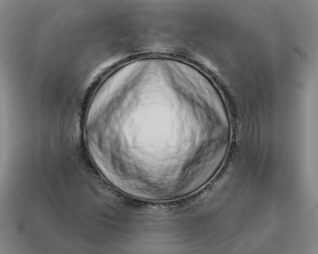 X0000114491214200911091041