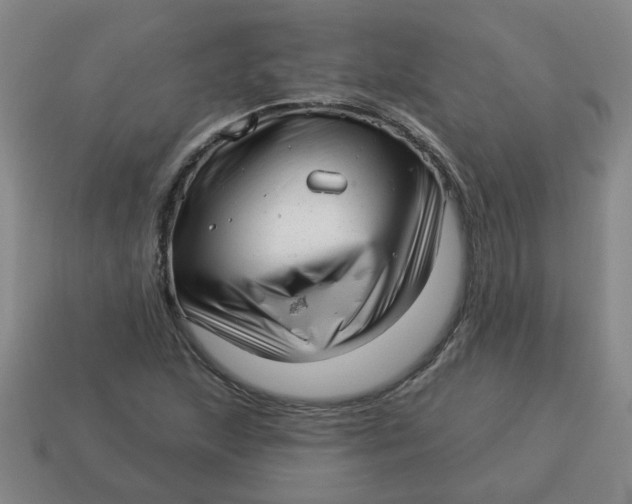X0000114491215200911091041