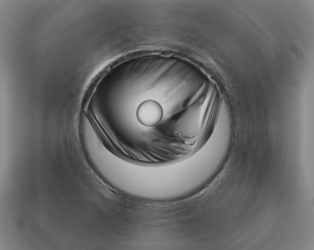 X0000114491216200911091041