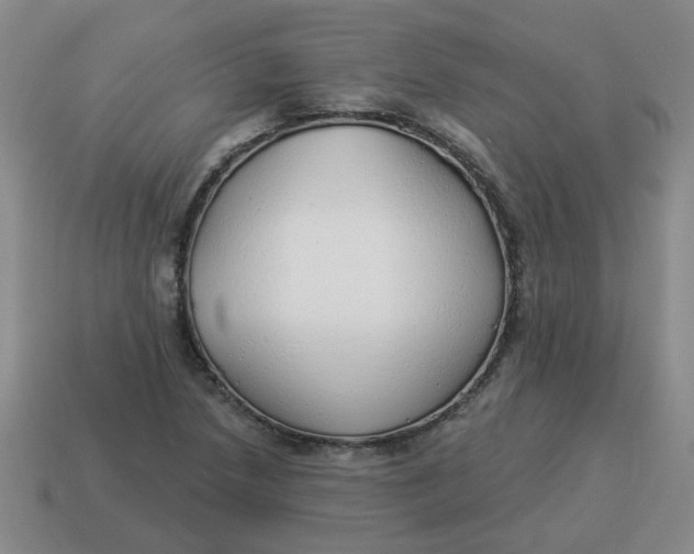 X0000114491218200911091041