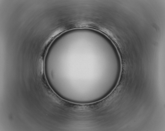 X0000114491219200911091041
