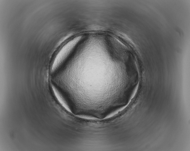 X0000114491220200911091041