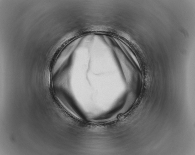 X0000114491221200911091041
