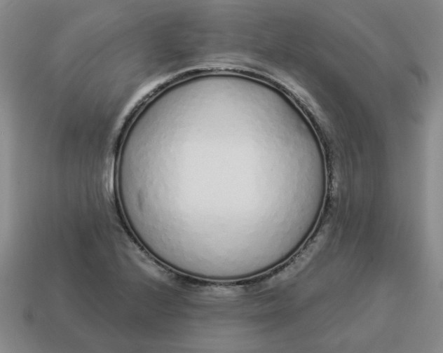 X0000114491224200911091041