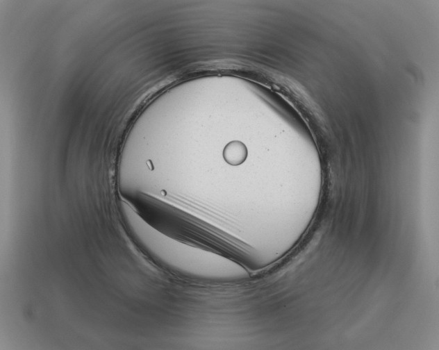 X0000114491225200911091041