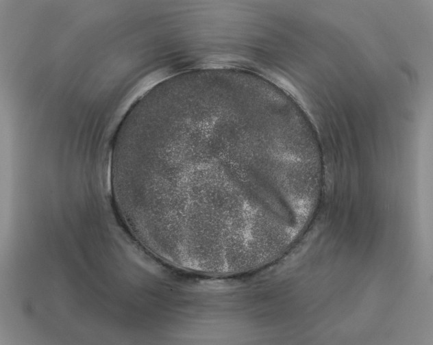 X0000114491227200911091041