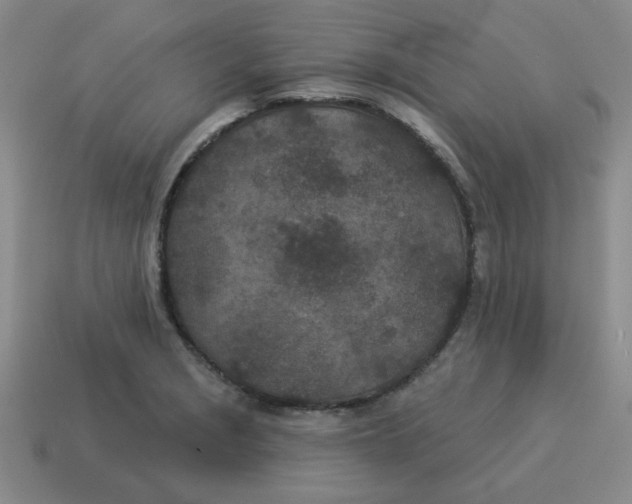 X0000114491229200911091041