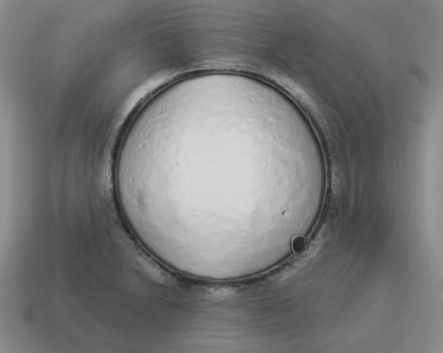 X0000114491230200911091041