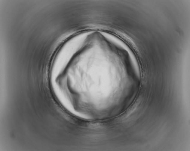 X0000114491231200911091041
