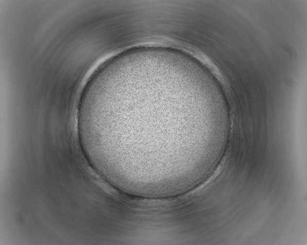 X0000114491232200911091041