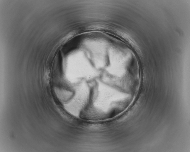 X0000114491233200911091041