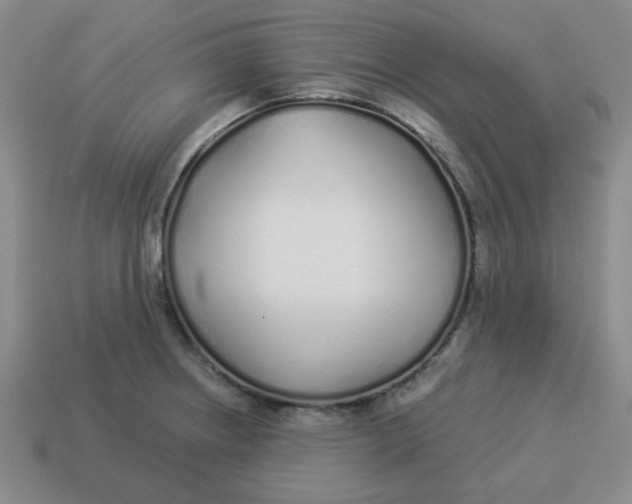 X0000114491234200911091041