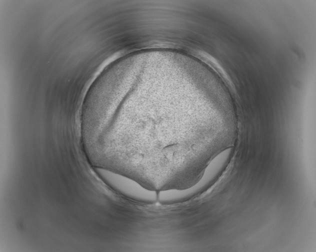 X0000114491236200911091041