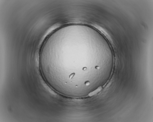 X0000114491238200911091041