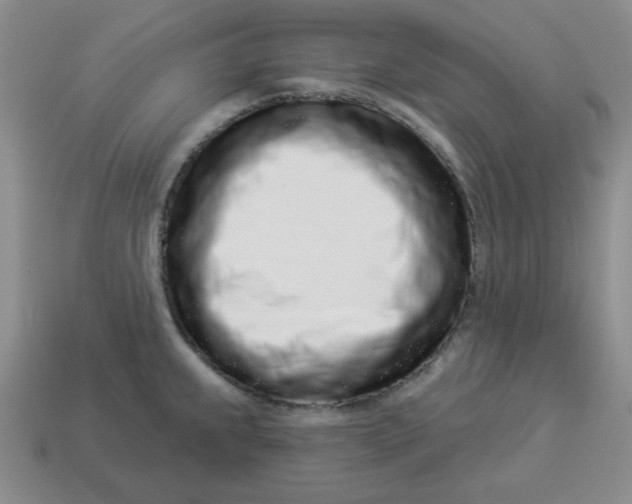 X0000114491239200911091041