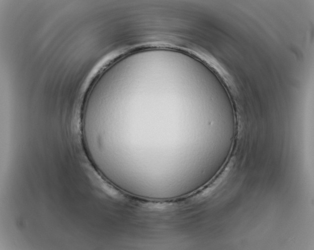 X0000114491240200911091041