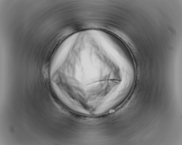 X0000114491241200911091041