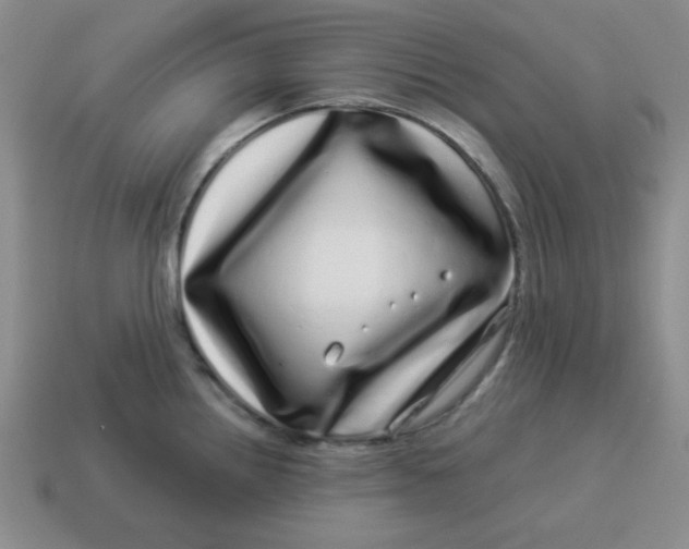 X0000114491242200911091041