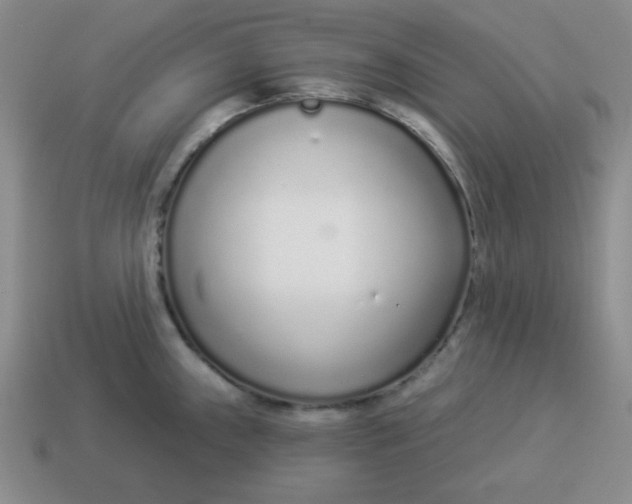 X0000114491243200911091041
