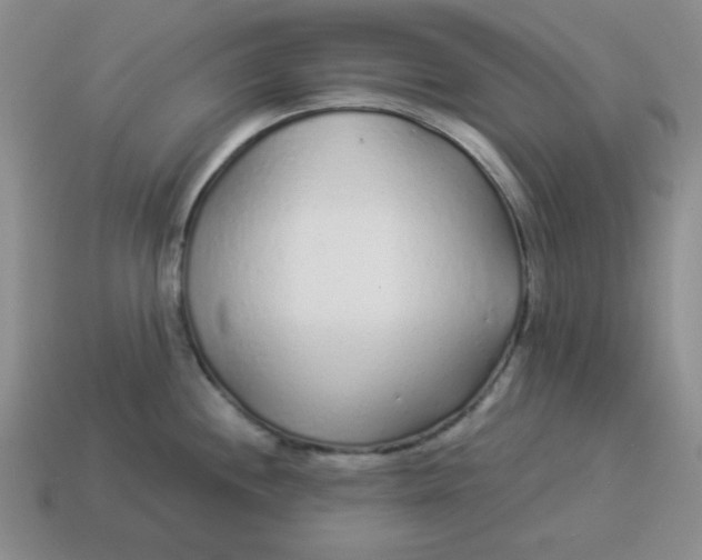 X0000114491244200911091041