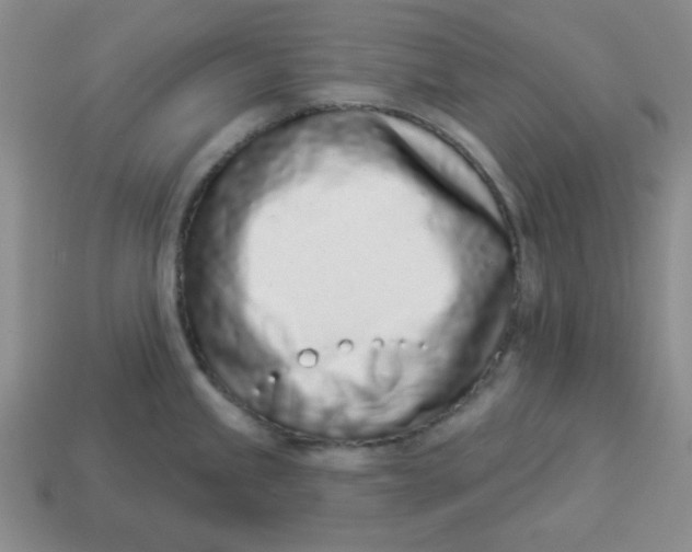 X0000114491245200911091041