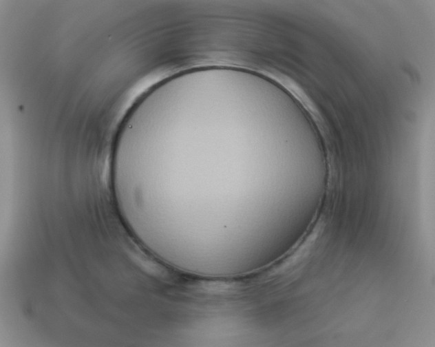 X0000114491246200911091041