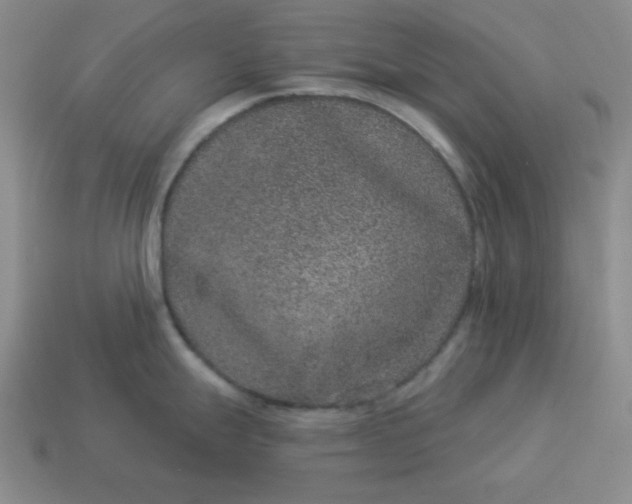 X0000114491247200911091041
