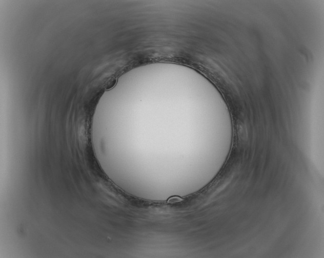 X0000114491250200911091041