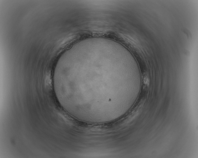 X0000114491252200911091041