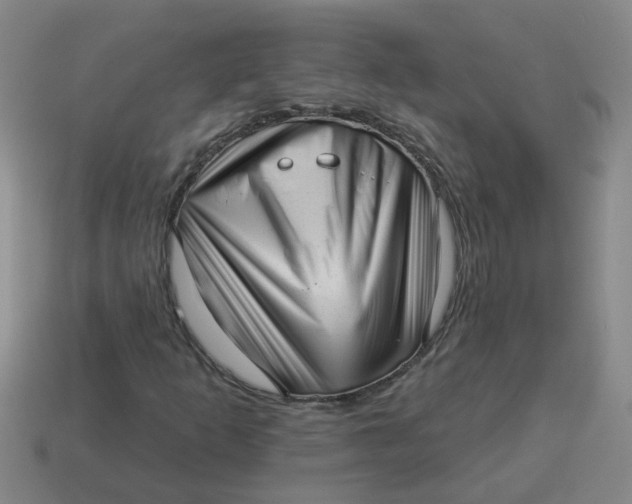 X0000114491253200911091041