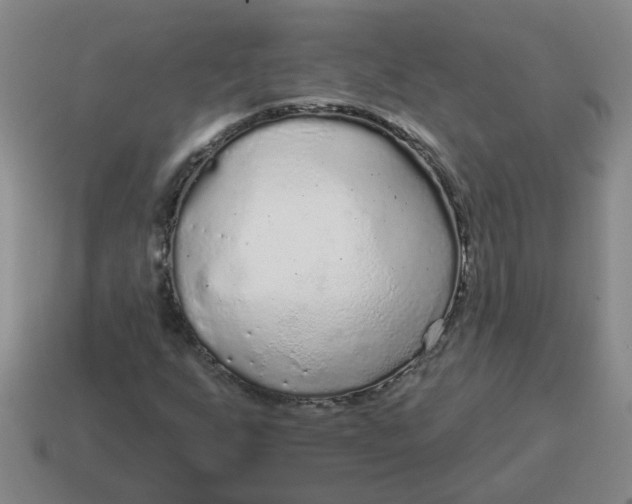 X0000114491255200911091041
