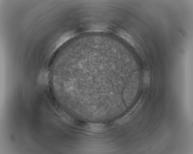 X0000114491258200911091041