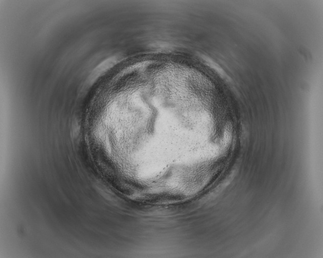 X0000114491259200911091041