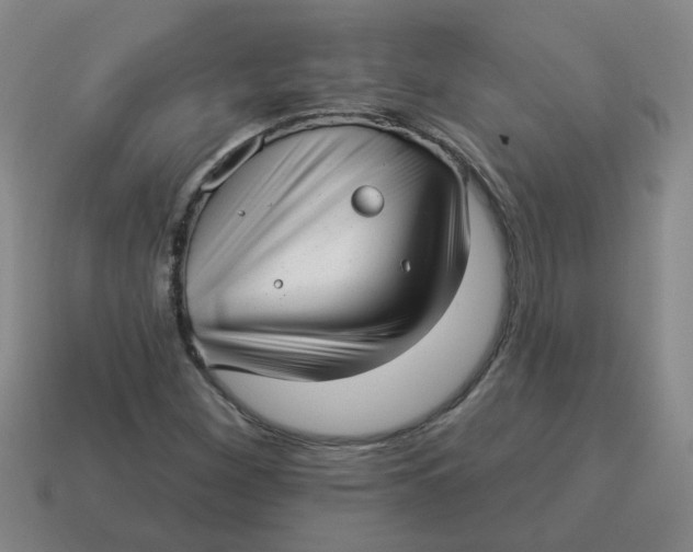 X0000114491260200911091041