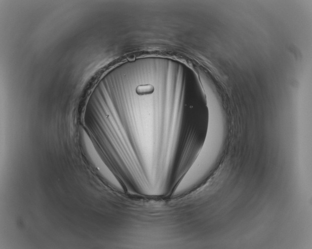 X0000114491261200911091041