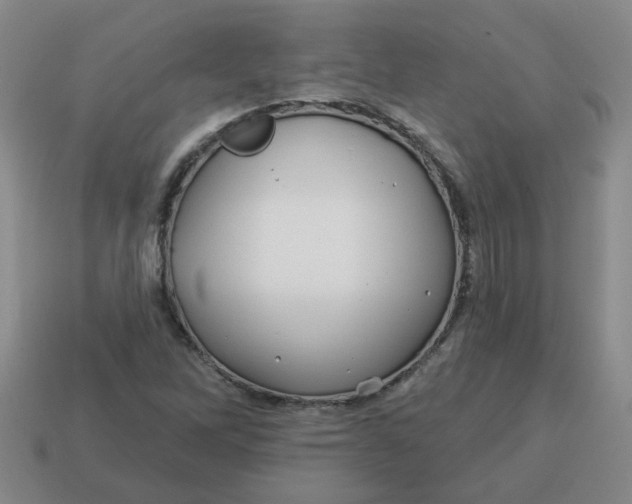 X0000114491262200911091041