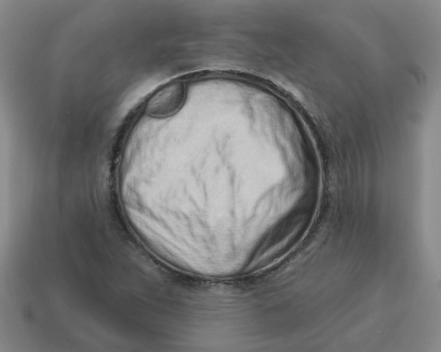 X0000114491263200911091041