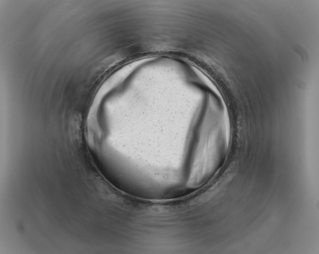X0000114491265200911091041