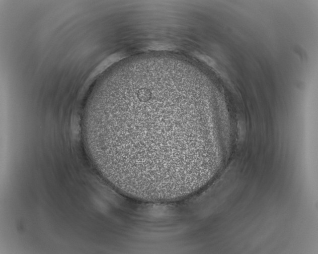 X0000114491266200911091040