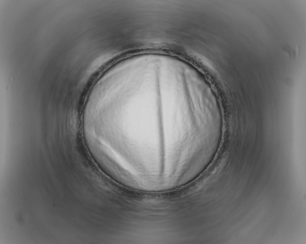 X0000114491267200911091040
