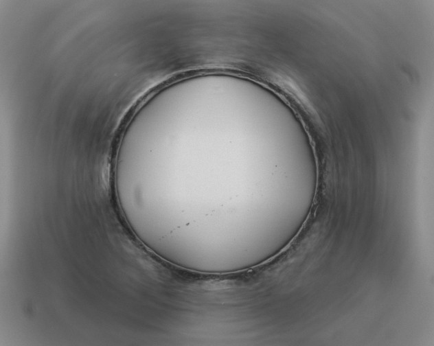 X0000114491268200911091040