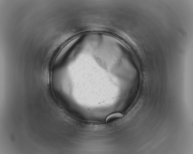 X0000114491269200911091040