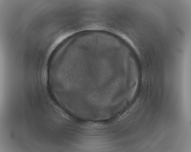 X0000114491270200911091040