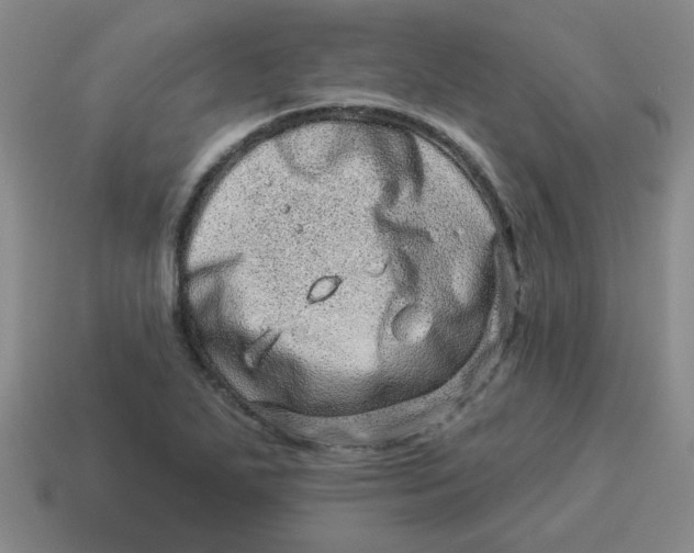 X0000114491271200911091040