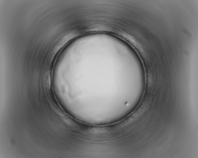 X0000114491274200911091040