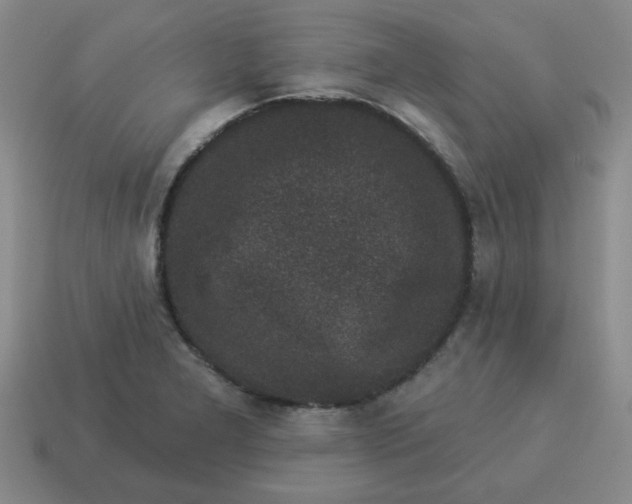 X0000114491277200911091040