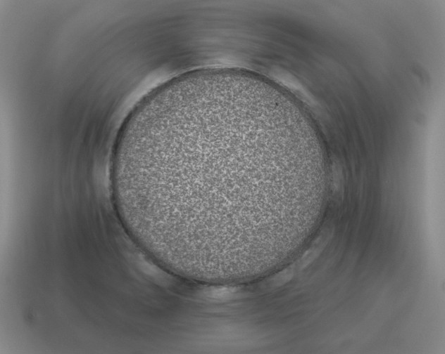 X0000114491278200911091040