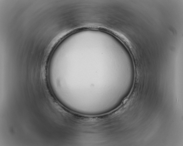 X0000114491279200911091040