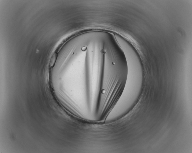 X0000114491280200911091040